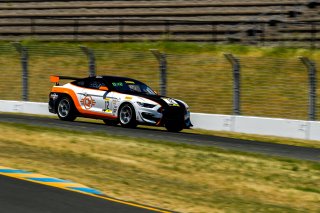 #12 Ford Mustang GT4 of Drew Staveley  

SRO at Sonoma Raceway, Sonoma CA | Gavin Baker/SRO
