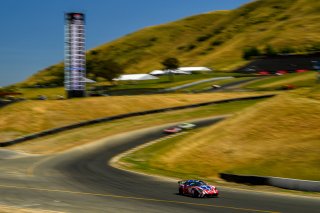 #50 Panoz Avezzano GT4 of Ian James  

SRO at Sonoma Raceway, Sonoma CA | Gavin Baker/SRO
