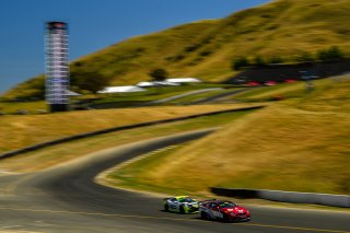 #16 BMW M4 GT4 of John Allen and Kris Wilson 

SRO at Sonoma Raceway, Sonoma CA | Gavin Baker/SRO
