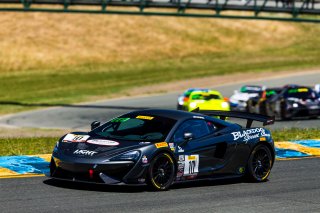 #10 McLaren 570S GT4 of Michael Cooper  

SRO at Sonoma Raceway, Sonoma CA | Fabian Lagunas/SRO
