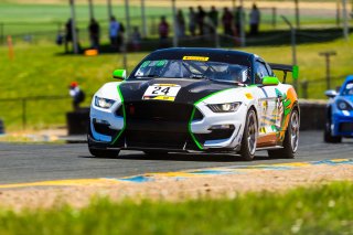 #24 Ford Mustang GT4 of Frank Gannett and Drew Staveley 

SRO at Sonoma Raceway, Sonoma CA | Fabian Lagunas/SRO