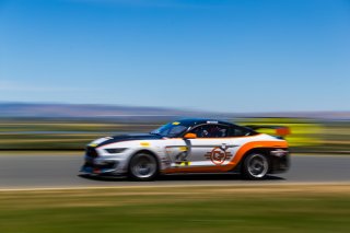 #12 Ford Mustang GT4 of Drew Staveley  

SRO at Sonoma Raceway, Sonoma CA | Fabian Lagunas/SRO