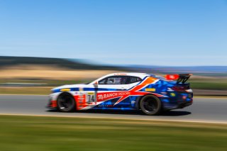 #74 Chevrolet Camaro GT4 of Gar Robinson  

SRO at Sonoma Raceway, Sonoma CA | Fabian Lagunas/SRO