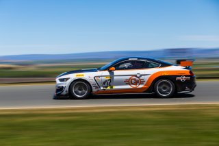 #12 Ford Mustang GT4 of Drew Staveley  

SRO at Sonoma Raceway, Sonoma CA | Fabian Lagunas/SRO