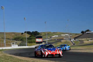 #50 Panoz Avezzano GT4 of Ian James  

SRO at Sonoma Raceway, Sonoma CA | Gavin Baker/SRO
