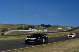 #11 McLaren 570S GT4 of Tony Gaples  

SRO at Sonoma Raceway, Sonoma CA | Gavin Baker/SRO

