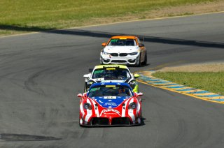 #50 Panoz Avezzano GT4 of Ian James  

SRO at Sonoma Raceway, Sonoma CA | Gavin Baker/SRO
