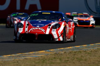 #50 Panoz Avezzano GT4 of Ian James  

SRO at Sonoma Raceway, Sonoma CA | Gavin Baker/SRO
