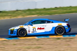 #43 Audi R8 LMS GT4 of Sarah Cattaneo and Owen Trinkler 

SRO at Sonoma Raceway, Sonoma CA | Fabian Lagunas/SRO
