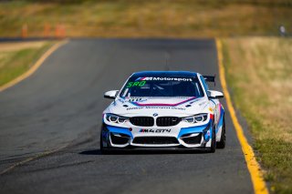 #88 BMW M4 GT4 of Henry Schmitt  

SRO at Sonoma Raceway, Sonoma CA | Fabian Lagunas/SRO