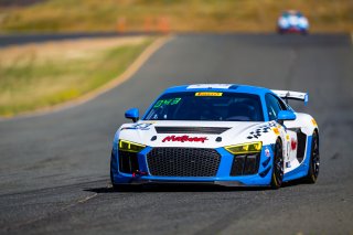 #43 Audi R8 LMS GT4 of Sarah Cattaneo and Owen Trinkler 

SRO at Sonoma Raceway, Sonoma CA | Fabian Lagunas/SRO