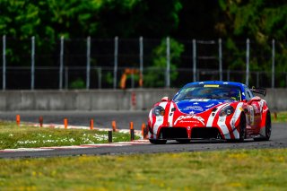 #51 Panoz Avezzano GT of Preston Calvert and Matthew Keegan 

Rose Cup Races, Portland OR | Gavin Baker/SRO
