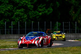 #51 Panoz Avezzano GT of Preston Calvert and Matthew Keegan 

Rose Cup Races, Portland OR | Gavin Baker/SRO
