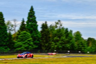 #51 Panoz Avezzano GT of Preston Calvert and Matthew Keegan 

Rose Cup Races, Portland OR | Gavin Baker/SRO
