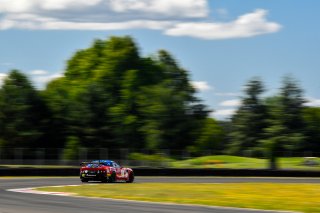 #51 Panoz Avezzano GT of Preston Calvert and Matthew Keegan 

Rose Cup Races, Portland OR | Gavin Baker/SRO
