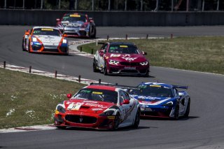#8 Maserati Grand Turismo MC GT4 of Michael McAleenan and Jerold Lowe, Rose Cup Races, Portland OR
 | Brian Cleary/SRO
