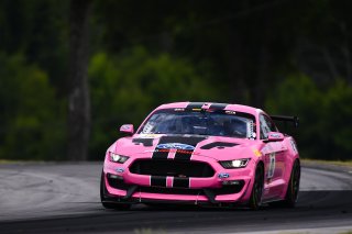 #40 GT4 Sprint, Am, PF Racing, James Pesek, Ford Mustang GT4, 2020 SRO Motorsports Group - VIRginia International Raceway, Alton VA
 | SRO Motorsports Group