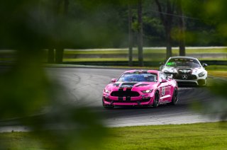#40 GT4 Sprint, Am, PF Racing, James Pesek, Ford Mustang GT4, 2020 SRO Motorsports Group - VIRginia International Raceway, Alton VA
 | SRO Motorsports Group