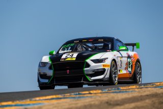 #24 Ford Mustang GT4 of Frank Gannett, Ian Lacy Racing, GT4 Sprint Am,     
2020 SRO Motorsports Group - Sonoma Raceway, Sonoma CA | Fabian Lagunas/SRO