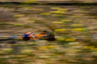 #119 BMW M4 GT4 of Sean Quinlan, GT4 Stephen Cameron Racing, Sprint Am, 2020 SRO Motorsports Group - Sonoma Raceway, Sonoma CA
 | Brian Cleary    