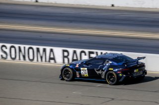 #210 Aston Martin Vantage GT4 of Michael Dinan, Flying Lizard Motorsports, GT4 Sprint Am, 2020 SRO Motorsports Group - Sonoma Raceway, Sonoma CA
 | Brian Cleary    
