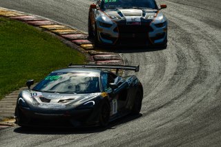 #10 McLaren 570s GT4 of Michael Cooper, Blackdog Speed Shop, GT4 Sprint Pro, SRO America, Road America, Elkhart Lake, WI, August 2020.
 | SRO Motorsports Group