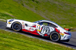 #16 Mercedes-AMG GT4 of John Allen and Kris Wilson, Capstone Motorsports, Am, Pirelli GT4 America, SRO America Sonoma Raceway, Sonoma, CA, March 2021.   | Brian Cleary/BCPix.com