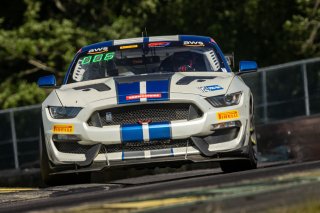 #124 Ford Mustang GT4 of Edgar Lau and Mike Skeen, ARG/Rotek Racing, GT4 America, Pro-Am, SRO America, VIR, Virginia International Rcaeway, Alton, Virginia, June 2022.
 | Regis Lefebure/SRO