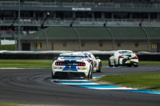 #124 Ford Mustang GT4 of Edgar Lau and Mike Skeen, ARG/Rotek Racing, GT4 America, Pro-Am, SRO America, Indianapolis Motor Speedway, Indianapolis, Indiana, Oct 2022.
 | Fabian Lagunas/SRO        