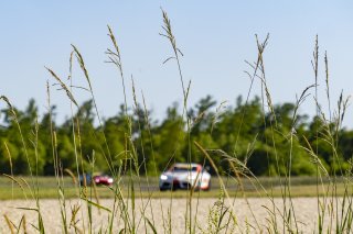 SRO America, NOLA Motorsports Park, New Orlenas, LA, April 2023 | Brian Cleary/SRO