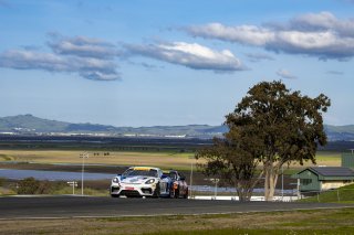 #96 Porsche 718 Cayman GT4 RS Clubsport of Chris Walsh and Dominic Starkweather, OGH/Valkyrie Velocity, Pirelli GT4 America, Silver, SRO America, Sonoma Raceway, Sonoma, CA, April 2023.
 | Brian Cleary/SRO