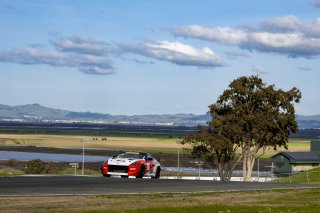 #23 Nissan Z GT4 of Bryan Heitcotter and Tyler Stone, Techsport Racing, Pirelli GT4 America, Pro-Am, SRO America, Sonoma Raceway, Sonoma, CA, April 2023.
 | Brian Cleary/SRO