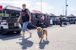 Fans, SRO America, Road America, Elkhart Lake, WI, August 2023.
 | Brian Cleary/SRO