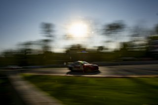#51 BMW M4 GT4 of JCD Dubets and Zac Anderson, Auto Technic Racing, Pirelli GT4 America, Silver, SRO America, Road America, Elkhart Lake, WI, August 2023.
 | SRO Motorsports Group