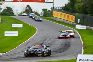 #24 Aston Martin Vantage AMR GT4 of Gray Newell and Roman De Angelis, Heart of Racing Team, GT4 America, Pro-Am, SRO America, Road America, Elkhart Lake, WI  August 15-18, 2024
 | Fred Hardy | www.FredHardyPhoto.com for SRO America &copy;2024