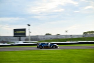 #24 Aston Martin Vantage AMR GT4 of Gray Newell and Roman De Angelis, Heart of Racing Team, GT4 America, Pro-Am, SRO America, Indianapolis Motor Speedway, Indianapolis, IN October 3-6
 | Fred Hardy | www.FredHardyPhoto.com for SRO ©2024