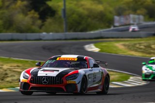 #34 Mercedes-AMG GT4 of Demi Chalkias and Jake Cowden, JMF Motorsports, GT4 America, Silver, SRO America, Sonoma Raceway, Sonoma, CA, April 2024
 | Fred Hardy | www.FredHardyPhoto.com for SRO America &copy;2024