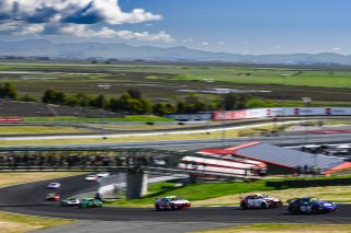 #34 Mercedes-AMG GT4 of Demi Chalkias and Jake Cowden, JMF Motorsports, GT4 America, Silver, SRO America, Sonoma Raceway, Sonoma, CA, April 2024
 | Fred Hardy | www.FredHardyPhoto.com for SRO America &copy;2024