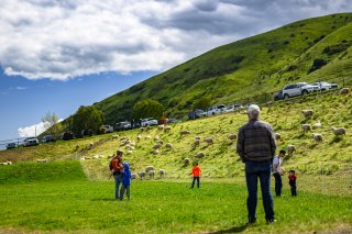 | Fred Hardy | www.FredHardyPhoto.com for SRO America ©2024