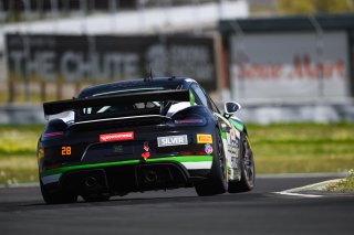  | Fred Hardy | www.FredHardyPhoto.com for SRO America ©2024