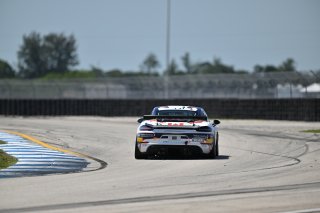 #77 Porsche 718 Cayman GT4 RS Clubsport of Danny Dyszelski and Alex Ellis, VPX Motorsport, GT4 America, Silver, SRO America, Sebring International Raceway, Sebring, FL May 15 - 18, 2025
 | SRO Motorsports Group