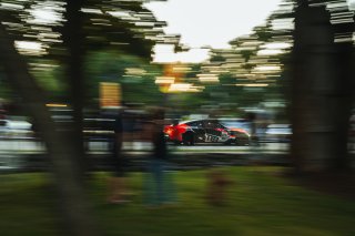  | Fred Hardy Jr. | www.FredHardyPhoto.com &copy;2025