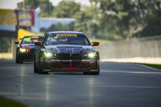 #36 BMW M4 GT4 (G82) EVO of James Clay and Charlie Postins, BimmerWorld Racing, GT4 America, Am, SRO America, Road America, Elkhart Lake, WI, Aug 15 - 17, 2025
 | Fred Hardy Jr. | www.FredHardyPhoto.com ©2025 
