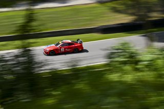 #17 BMW M4 GT4 (G82) of Lucas Catania and Joseph Catania, Rigid Speed Company, GT4 America, Am, SRO America, Road America, Elkhart Lake, WI, Aug 15 - 17, 2025
 | Fred Hardy Jr. | www.FredHardyPhoto.com ©2025 