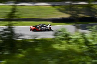#53 BMW M4 GT4 (G82) EVO of Tyler Stone and Matt Million, Auto Technic Racing, GT4 America, Pro-Am, SRO America, Road America, Elkhart Lake, WI, Aug 15 - 17, 2025
 | Fred Hardy Jr. | www.FredHardyPhoto.com ©2025 