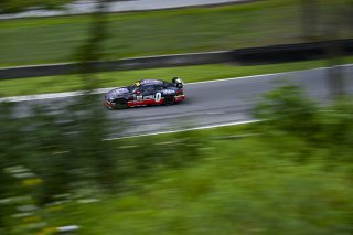 #36 BMW M4 GT4 (G82) EVO of James Clay and Charlie Postins, BimmerWorld Racing, GT4 America, Am, SRO America, Road America, Elkhart Lake, WI, Aug 15 - 17, 2025
 | Fred Hardy Jr. | www.FredHardyPhoto.com ©2025 