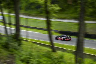 #36 BMW M4 GT4 (G82) EVO of James Clay and Charlie Postins, BimmerWorld Racing, GT4 America, Am, SRO America, Road America, Elkhart Lake, WI, Aug 15 - 17, 2025
 | Fred Hardy Jr. | www.FredHardyPhoto.com ©2025 