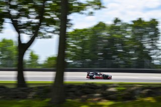 #36 BMW M4 GT4 (G82) EVO of James Clay and Charlie Postins, BimmerWorld Racing, GT4 America, Am, SRO America, Road America, Elkhart Lake, WI, Aug 15 - 17, 2025
 | Fred Hardy Jr. | www.FredHardyPhoto.com ©2025 