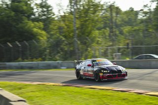 #36 BMW M4 GT4 (G82) EVO of James Clay and Charlie Postins, BimmerWorld Racing, GT4 America, Am, SRO America, Road America, Elkhart Lake, WI, Aug 15 - 17, 2025
 | Fred Hardy Jr. | www.FredHardyPhoto.com ©2025 