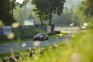 #36 BMW M4 GT4 (G82) EVO of James Clay and Charlie Postins, BimmerWorld Racing, GT4 America, Am, SRO America, Road America, Elkhart Lake, WI, Aug 15 - 17, 2025
 | Fred Hardy Jr. | www.FredHardyPhoto.com ©2025 